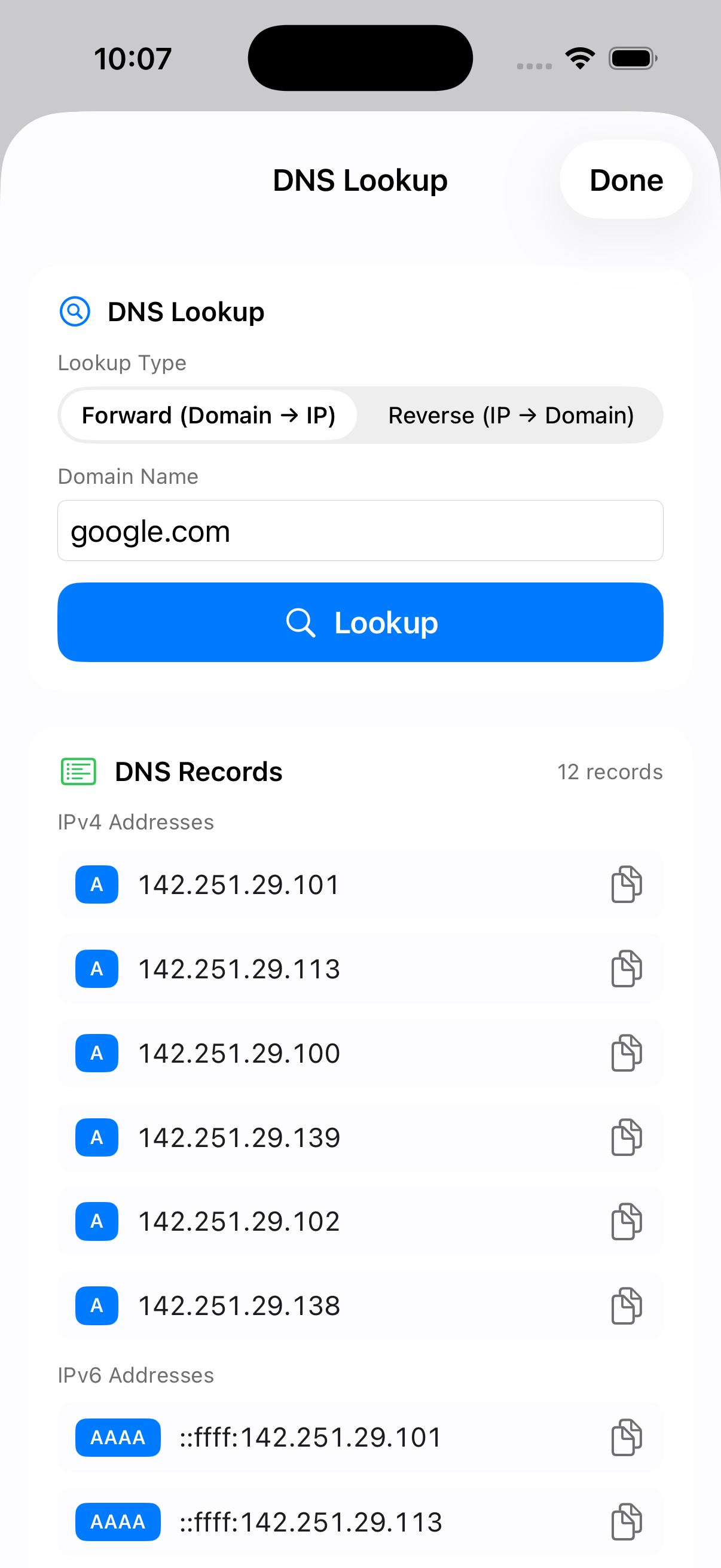 DNS Lookup showing IPv4 and IPv6 records
